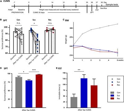 Neurotransmitter and Related Metabolic Profiling in the Nucleus Accumbens of Chronic Unpredictable Mild Stress-Induced Anhedonia-Like Rats